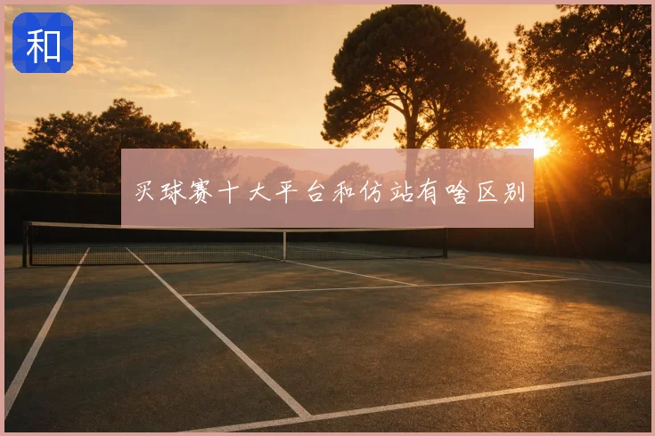 买球赛十大平台和仿站有啥区别