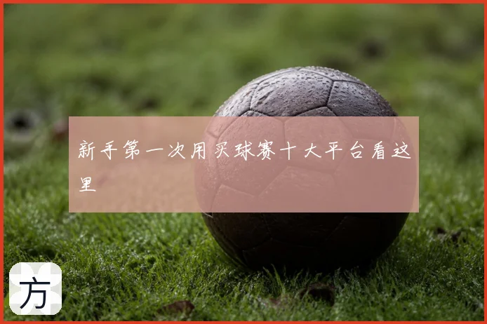 新手第一次用买球赛十大平台看这里