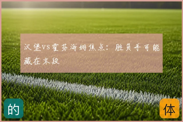 汉堡vs霍芬海姆焦点:胜负手可能藏在末段