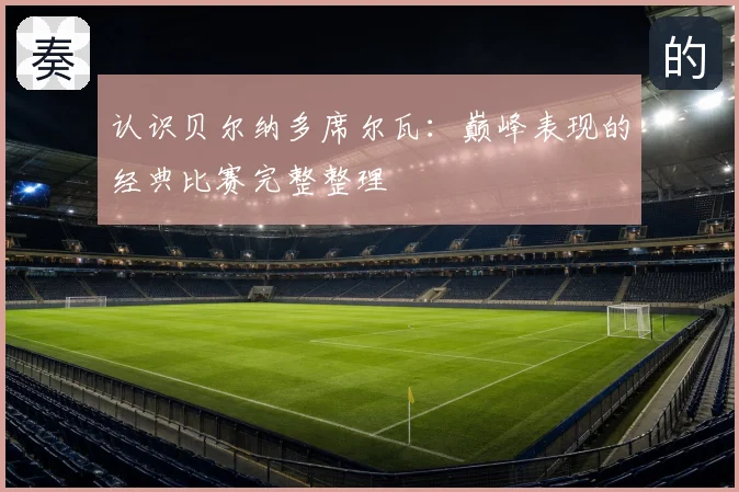 认识贝尔纳多席尔瓦：巅峰表现的经典比赛完整整理