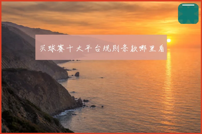 买球赛十大平台规则条款哪里看